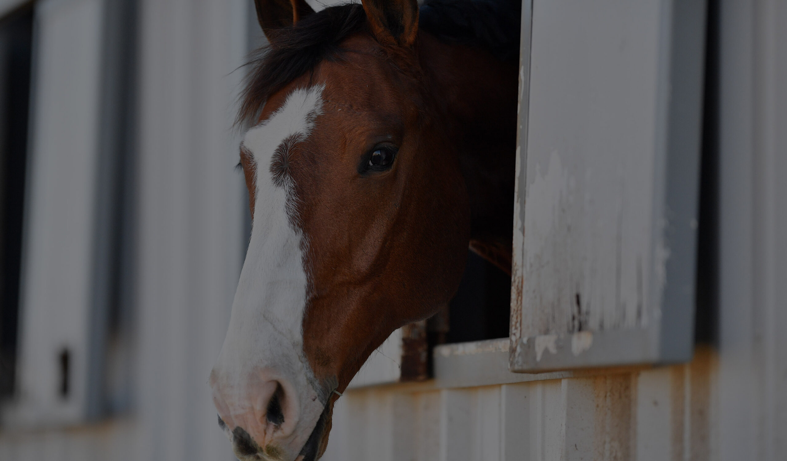 KSM Bear Creek Farms boarding facility